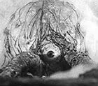 CrawlingEye_HR.jpg