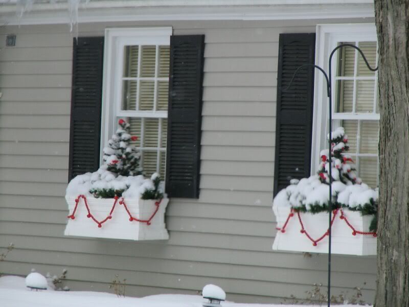hostas and windowboxes...what is it for you?