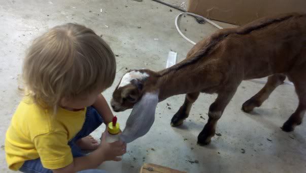 Cute kids pics  :) - Goats