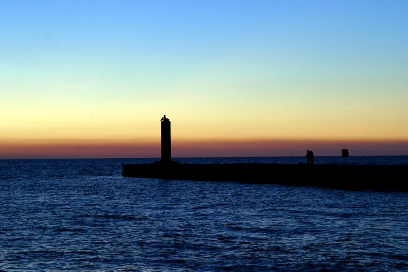 IMAGE: http://i14.photobucket.com/albums/a338/toadhunter911/Landscapes/IMG_7054-1.jpg