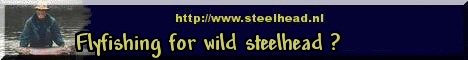 Steelhead, the beauty Forum Index