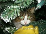 th_christmas.jpg