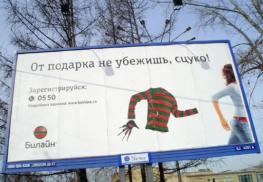 50487748.jpg