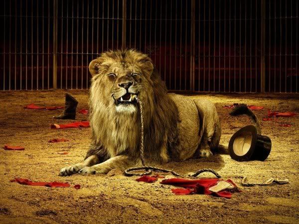 Photo Sharing and Video Hosting at Photobucket