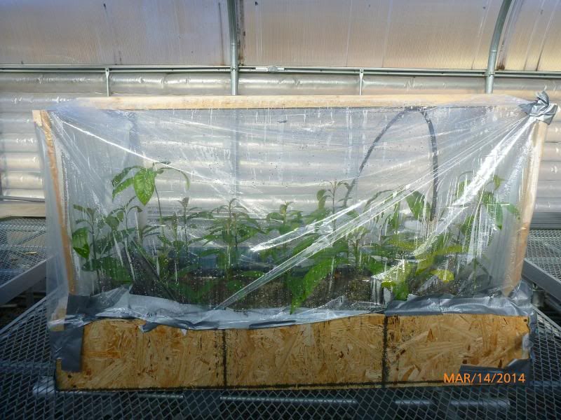  photo P1000006_zpsa0682c0e.jpg