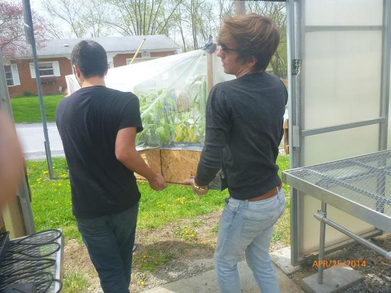  photo P1000124_zpsc7501152.jpg