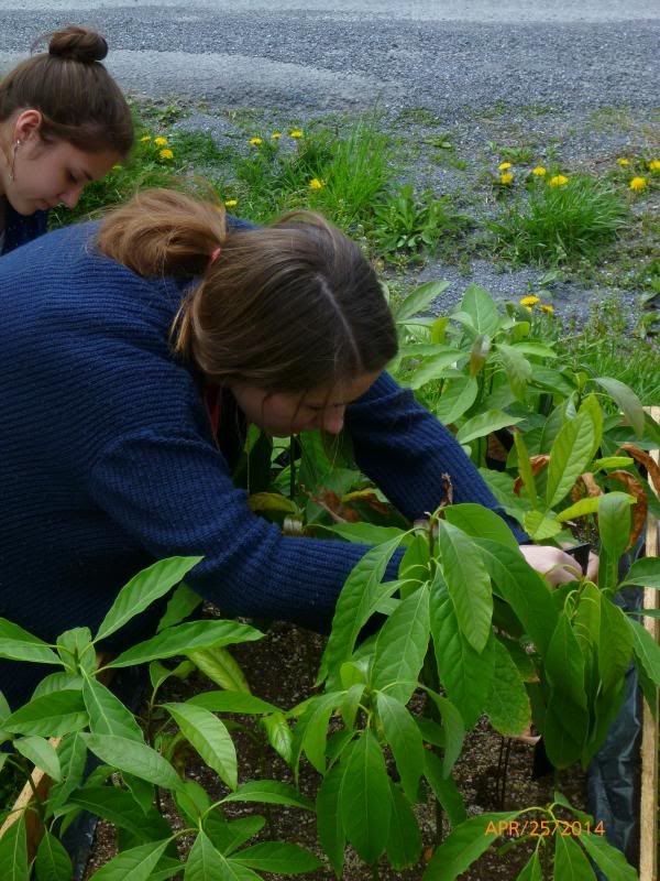  photo P1000139_zps67c1ca6a.jpg