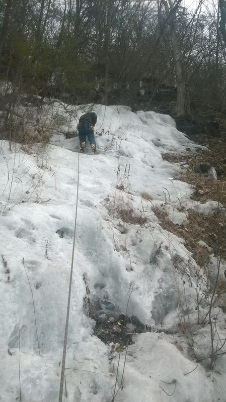 WP_20150325_004.jpg