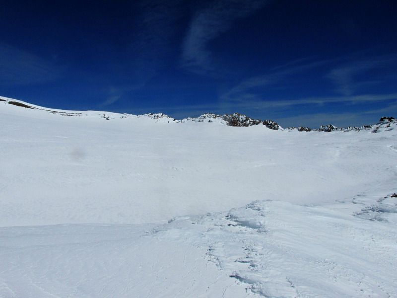 IMG_1158.jpg