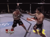 lyoto2.gif