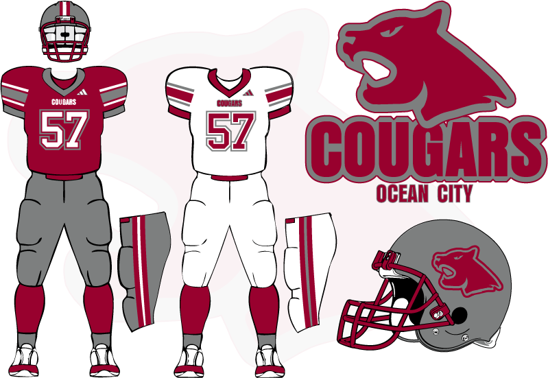 cougars-package3.png