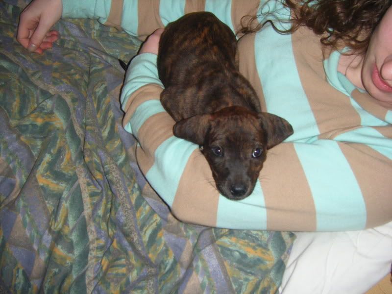 2008_06040006.jpg