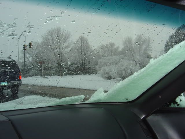 DSC00367.jpg