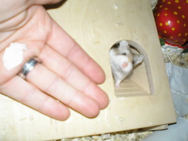 Jan07.jpg