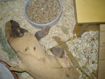 12-03-0910.jpg