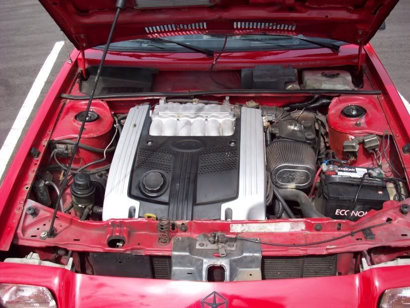 [Image: rampage3.jpg]