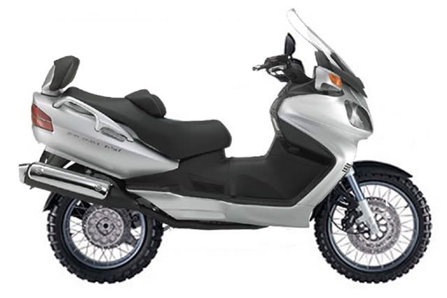 BeezukiR650GSkywave.jpg