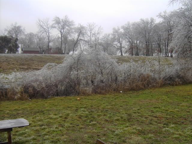 Ice07004.jpg