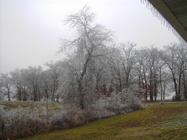 Ice07005.jpg