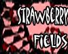 STRAWBERRY FIELDS