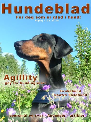 hundeblad.jpg