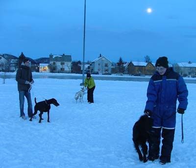 hundetrening2.jpg