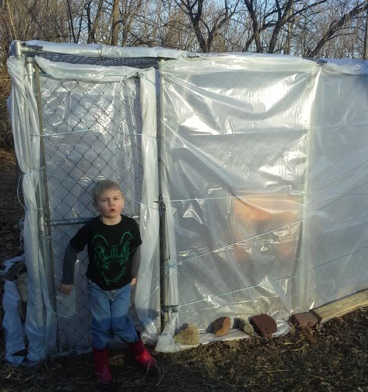 I cant get a concensus on growing tomatoes - Homesteading Questions