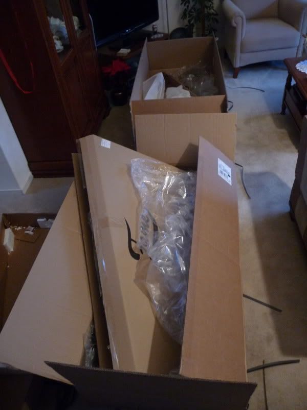 P1020191-1.jpg