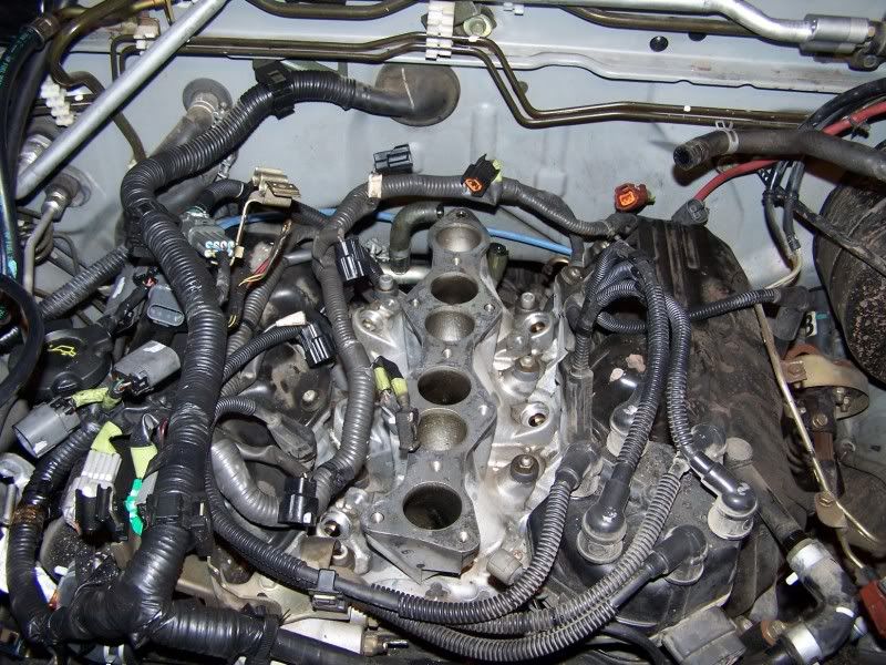 Toyota rav oring leak