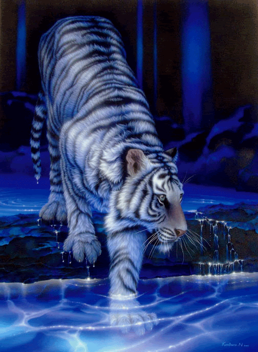 deformed white tiger pictures. White+tiger+pictures