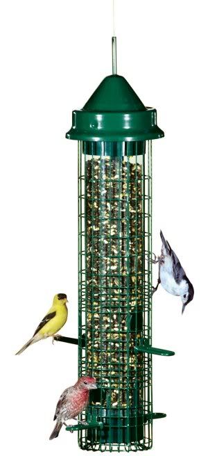 Anyone Setting Up Backyard Bird Feeders For The Winter