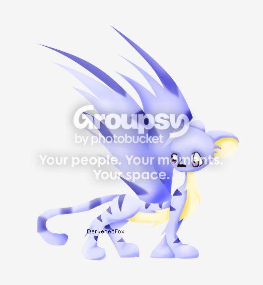 User Image