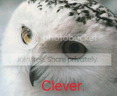 clever.jpg