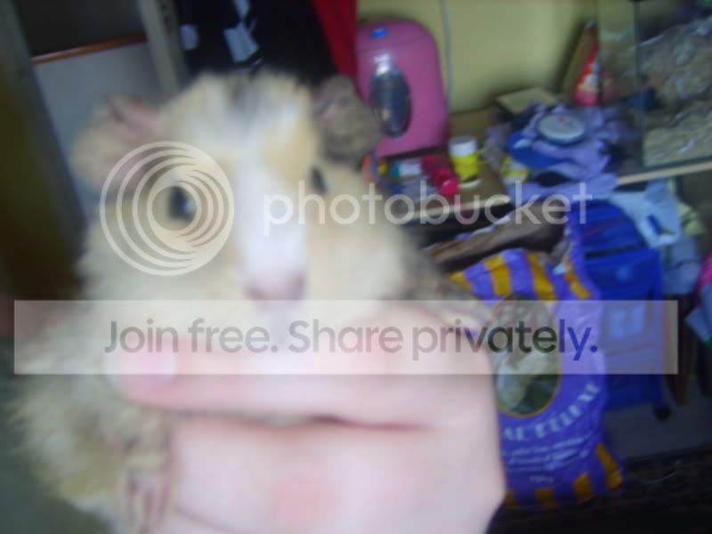 SV202802.jpg