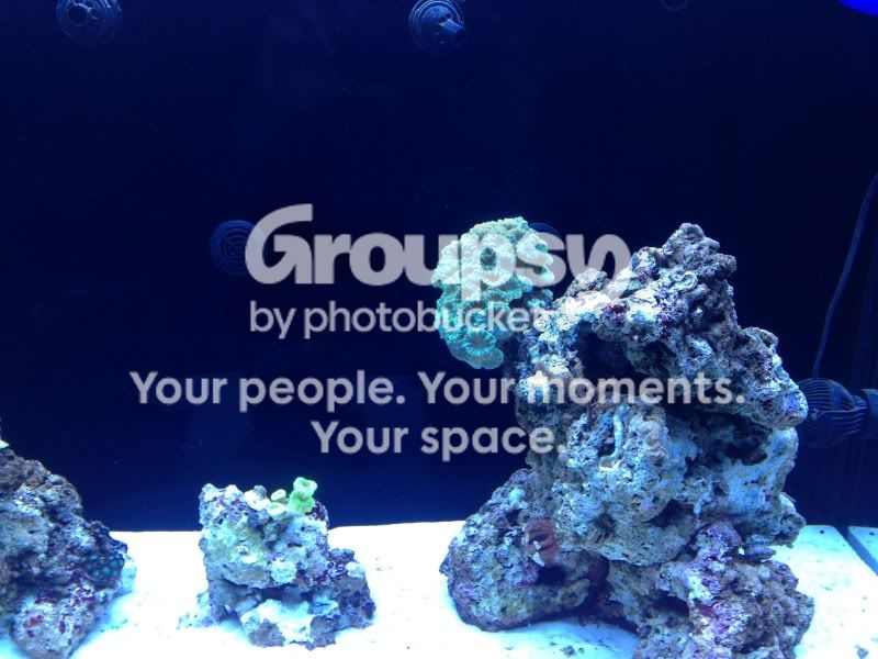 [TodoMarino.com] Ibiza's Reef