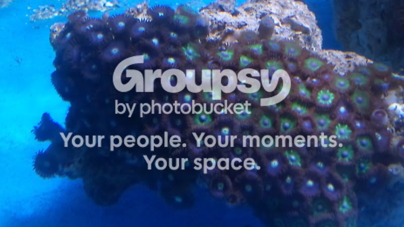 [TodoMarino.com] Fotos skock