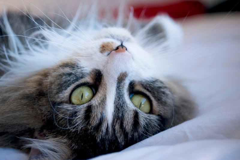 Upside down