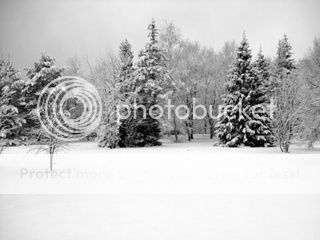  photo winter_snow_picture_165897_zpsry19wgiq.jpg