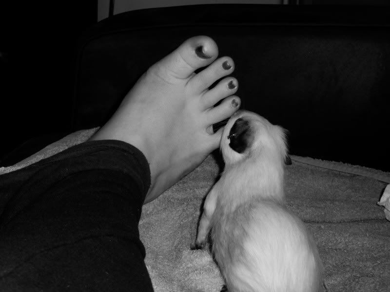 100_0489.jpg