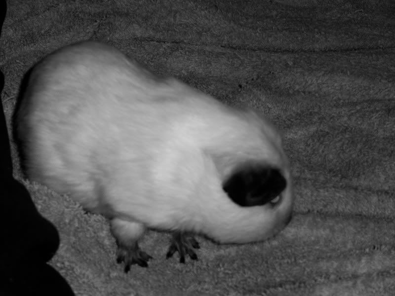 100_0491.jpg
