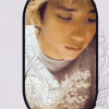 Icon 029