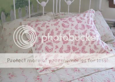 Rachel Ashwell DUVET cover Pink Paisley Rose TWIN  