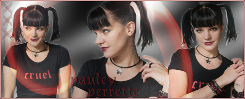 Pauley Perrette banner Pictures, Images and Photos