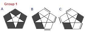 COLL Group 1