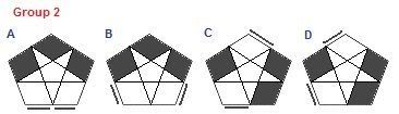COLL Group 2