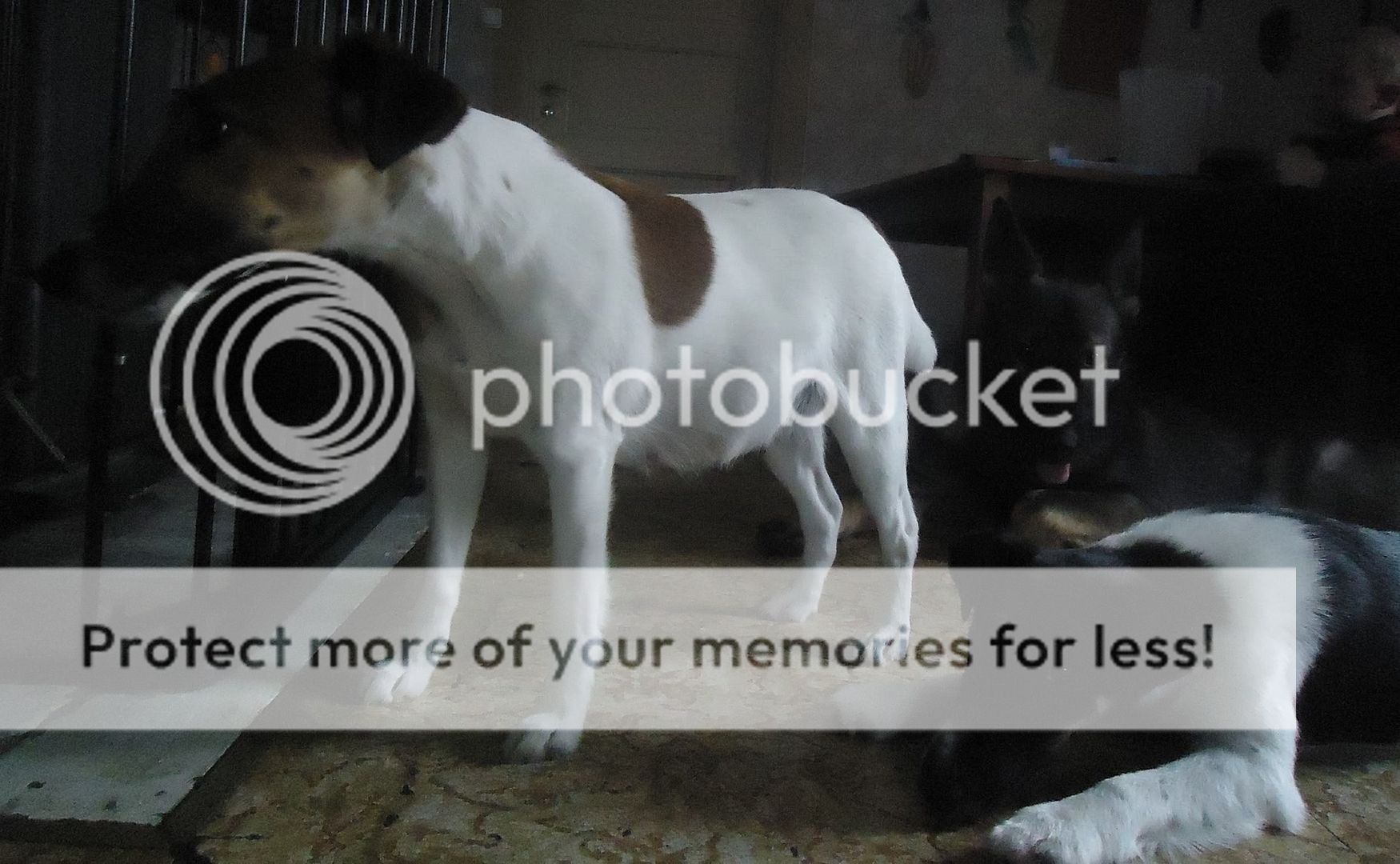 Photobucket