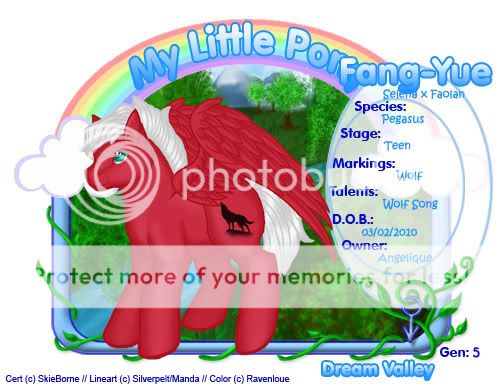 User Image