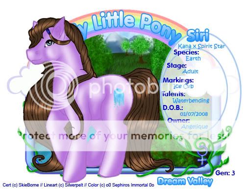 User Image