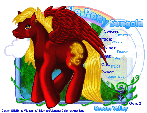 User Image