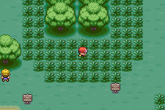 [PokeCommunity.com] The Grinding Challenge